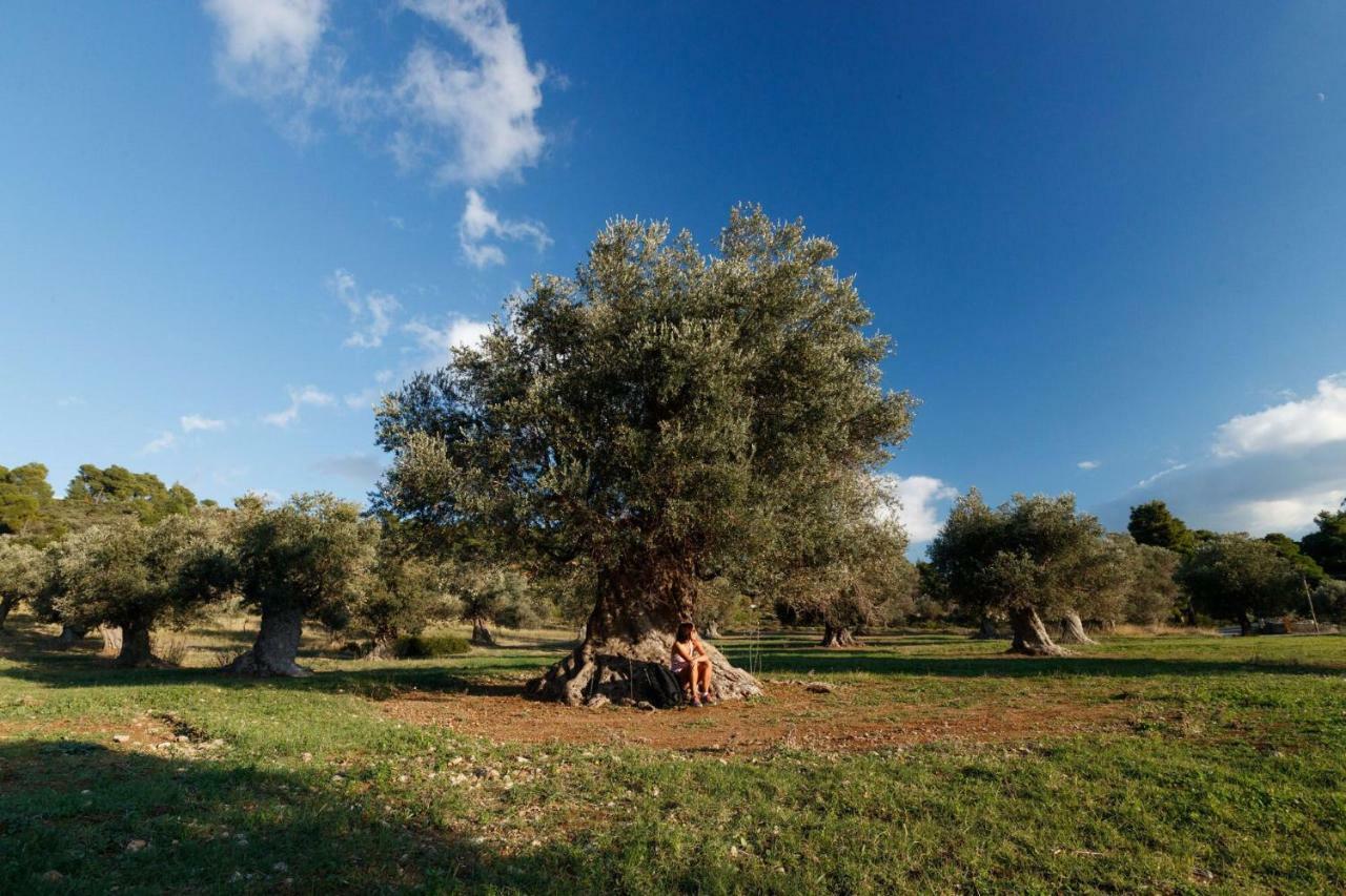 Kouvelia Country Home Luxury Villa Rental Nerotrivia Bagian luar foto