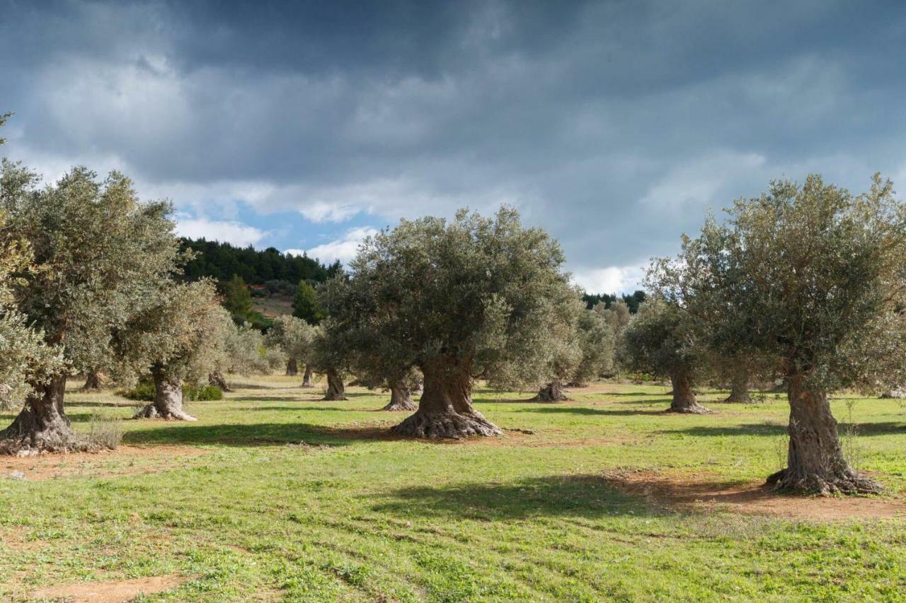 Kouvelia Country Home Luxury Villa Rental Nerotrivia Bagian luar foto
